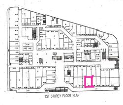 Lucky Plaza (D9), Shop House #464409771